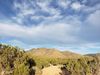 Juniper Trail Drive photo